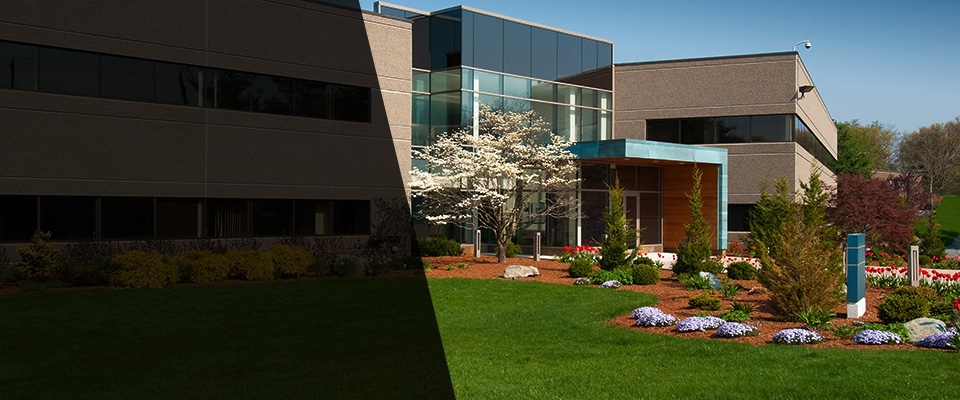 Rothschild Landscapers