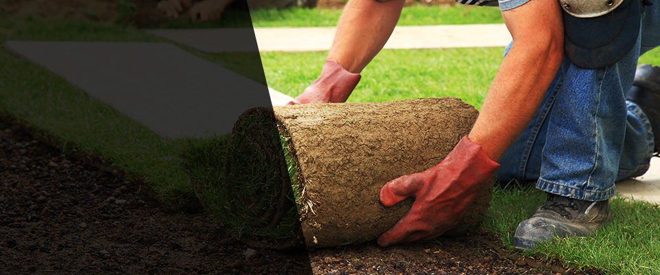 Rothschild Landscapers